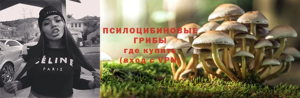 трава Верхнеуральск