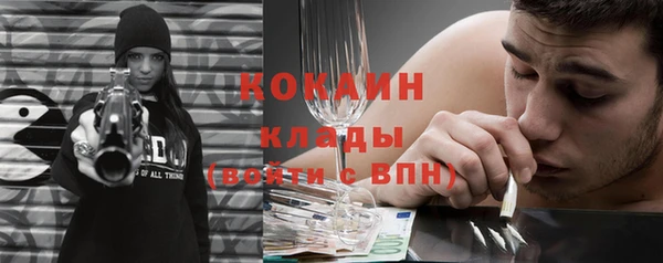 крисы Верхний Тагил