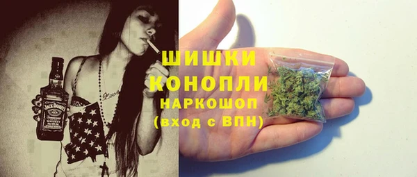 дживик Верея