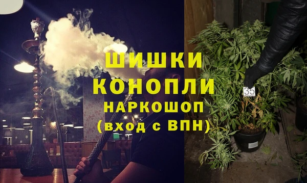 крисы Верхний Тагил