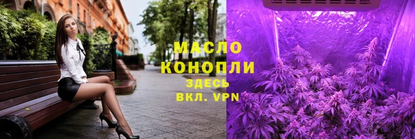 крисы Верхний Тагил