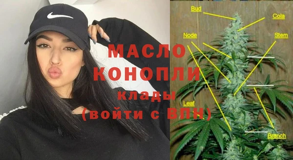 крисы Верхний Тагил