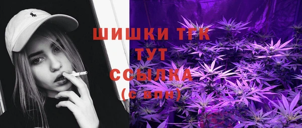 дживик Верея