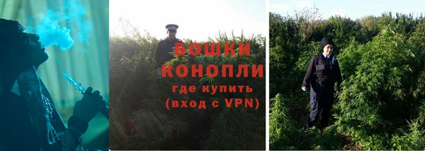 дживик Верея