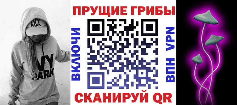 Купить где  Острогожск  Псилоцибиновые грибы MAGIC MUSHROOMS 